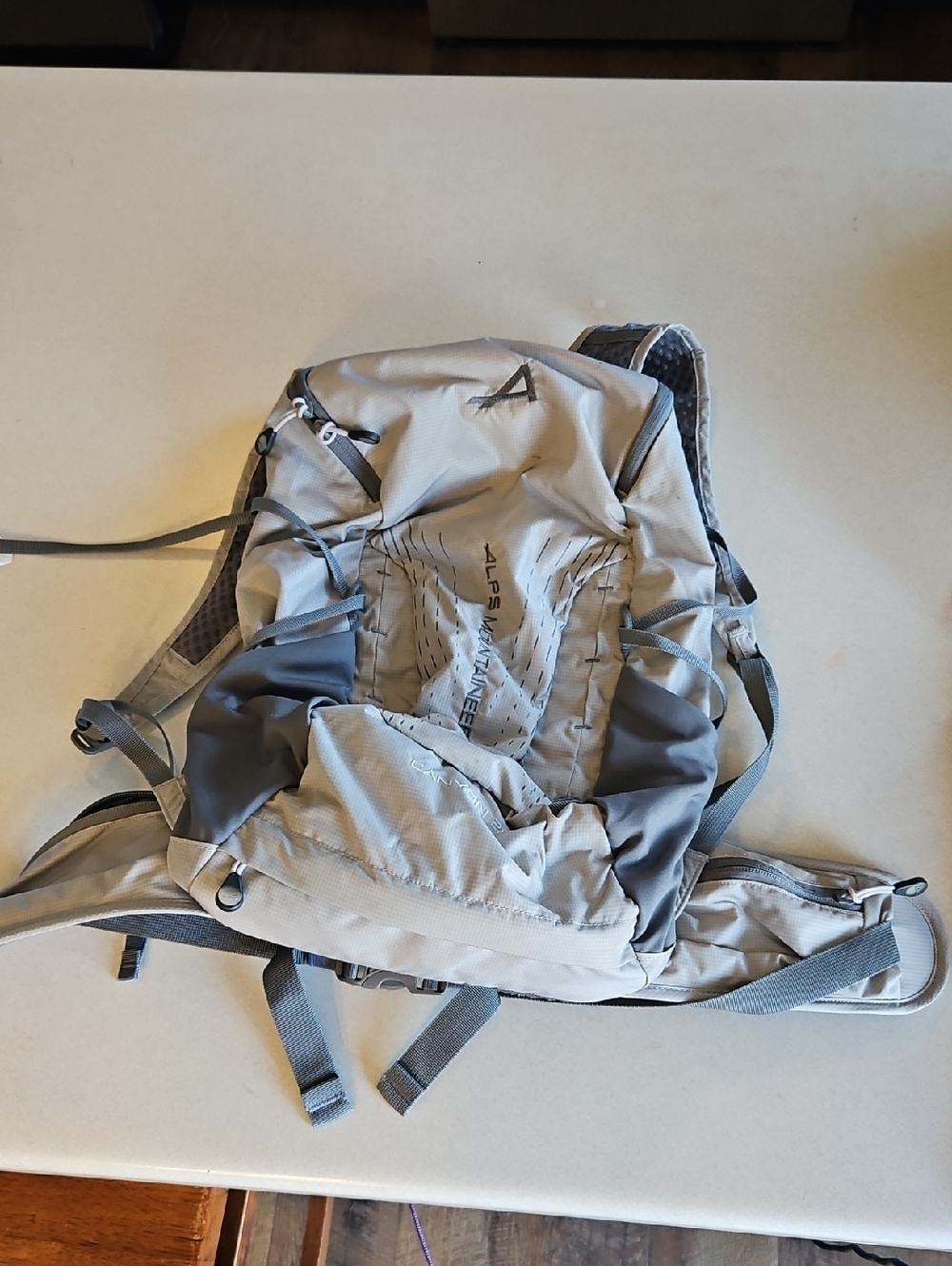 Alpa Mountaineering Canyon 20L Hiking Bag